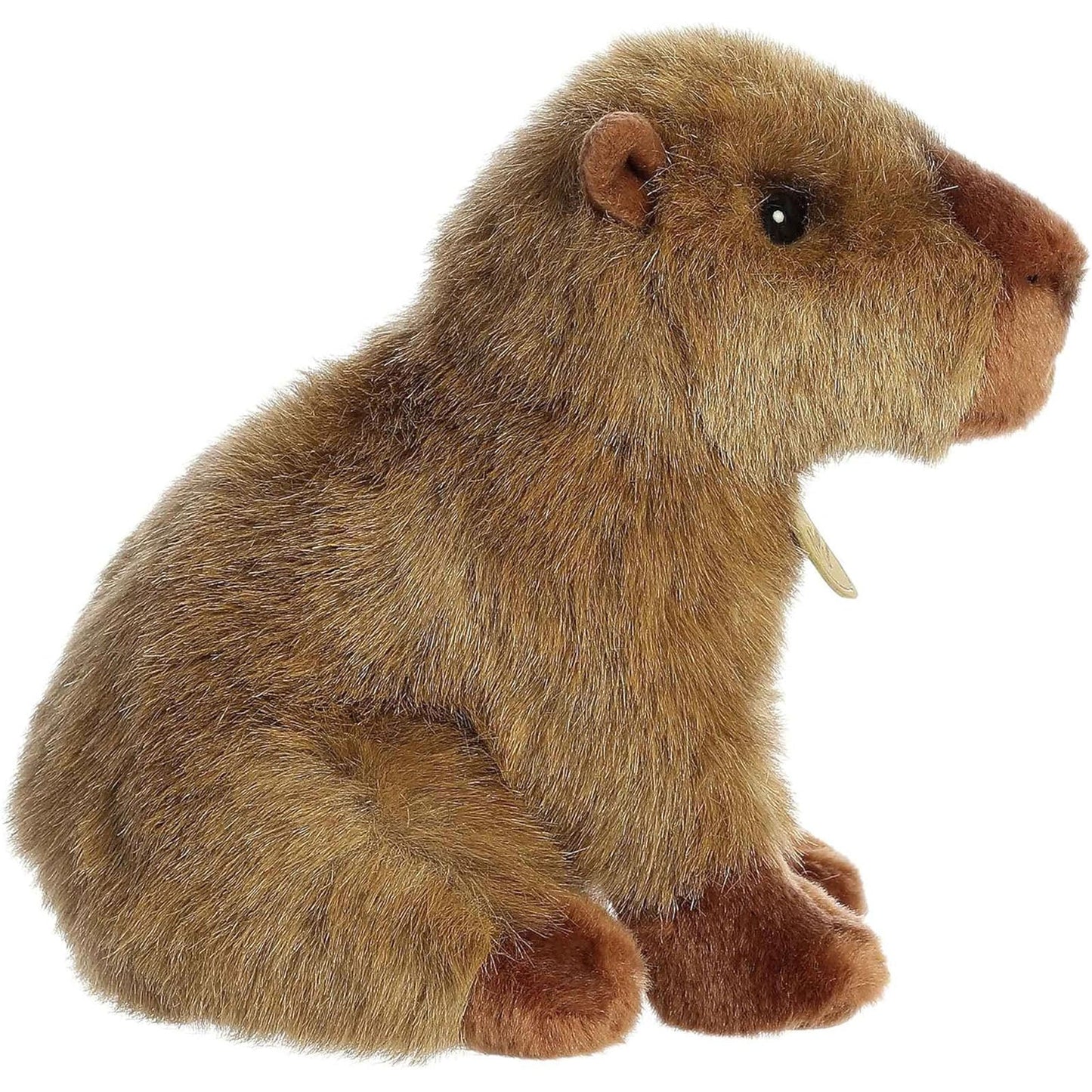 Aurora Miyoni Capybara 9 Inch Plush Figure
