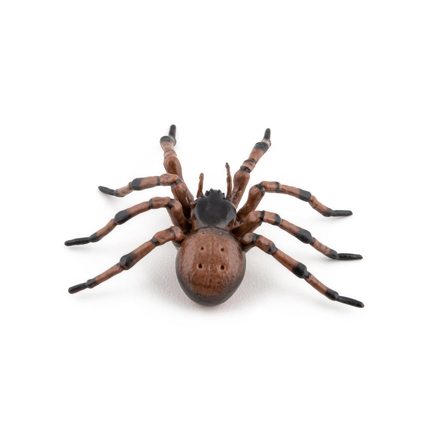 Papo Common Spider Figure 50292