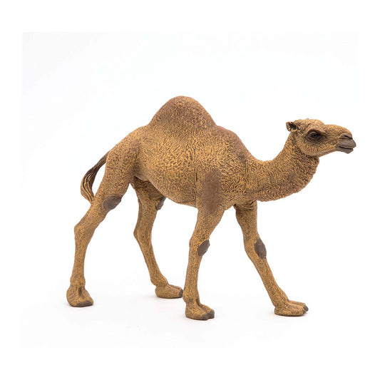 Papo Dromedary Animal Figure 50100