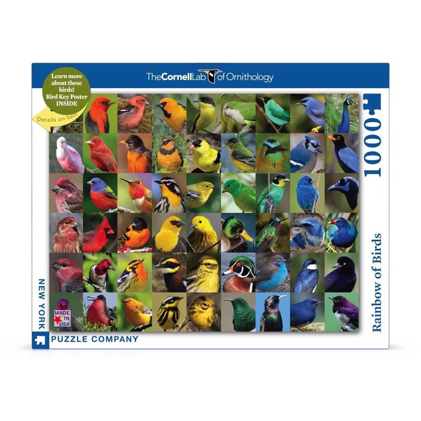 New York Puzzle Rainbow Of Birds 1000 Piece Jigsaw Puzzle