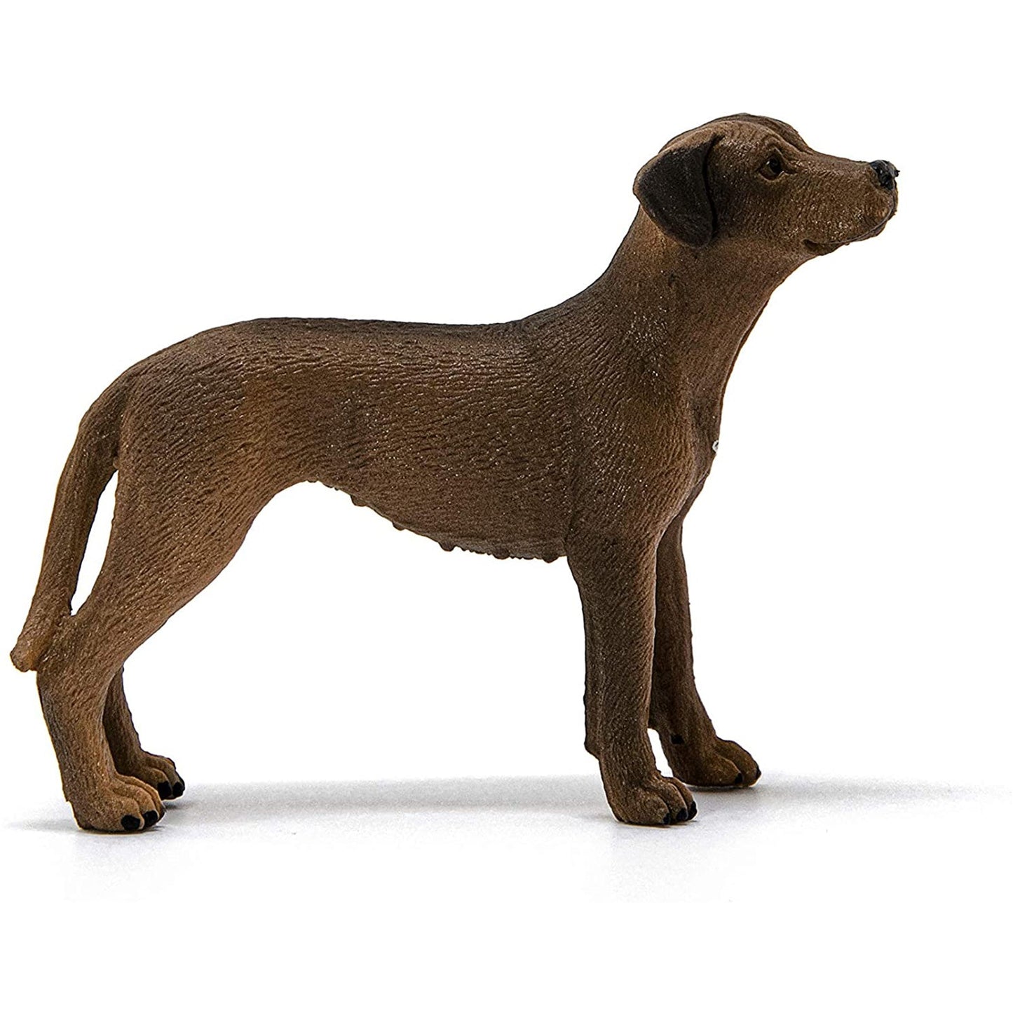 Schleich Rhodesian Ridgeback Animal Figure