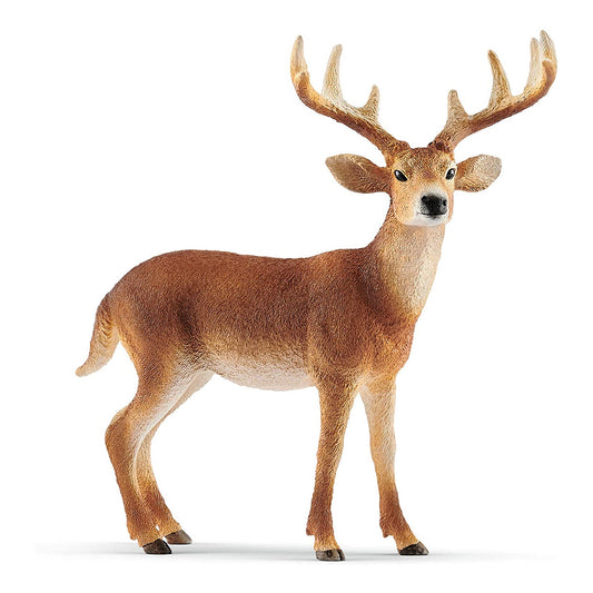 Schleich White-Tailed Buck Animal Figure 14818