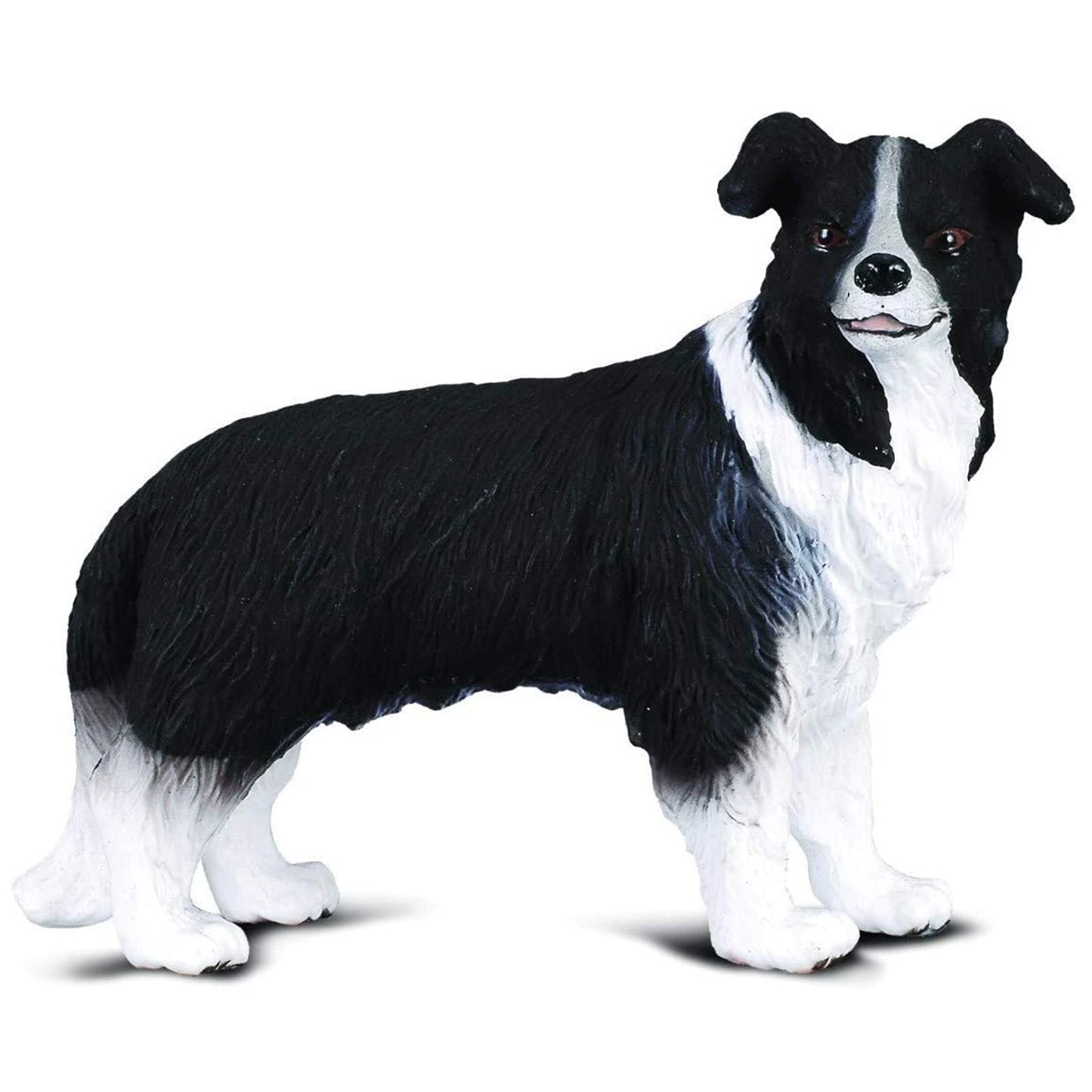 CollectA Border Collie Dog Animal Figure 88010