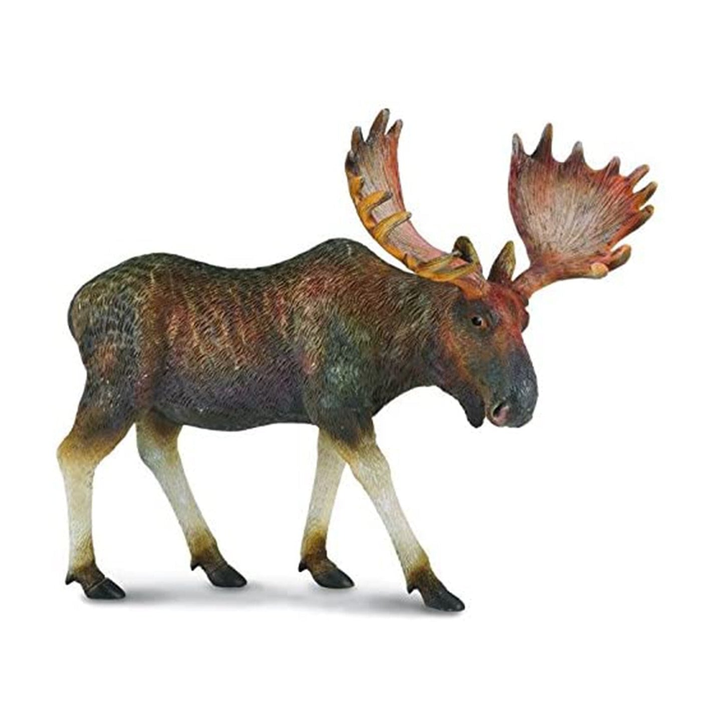 CollectA Moose Animal Figure 88335