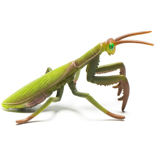 CollectA Praying Mantis Animal Figure 88351