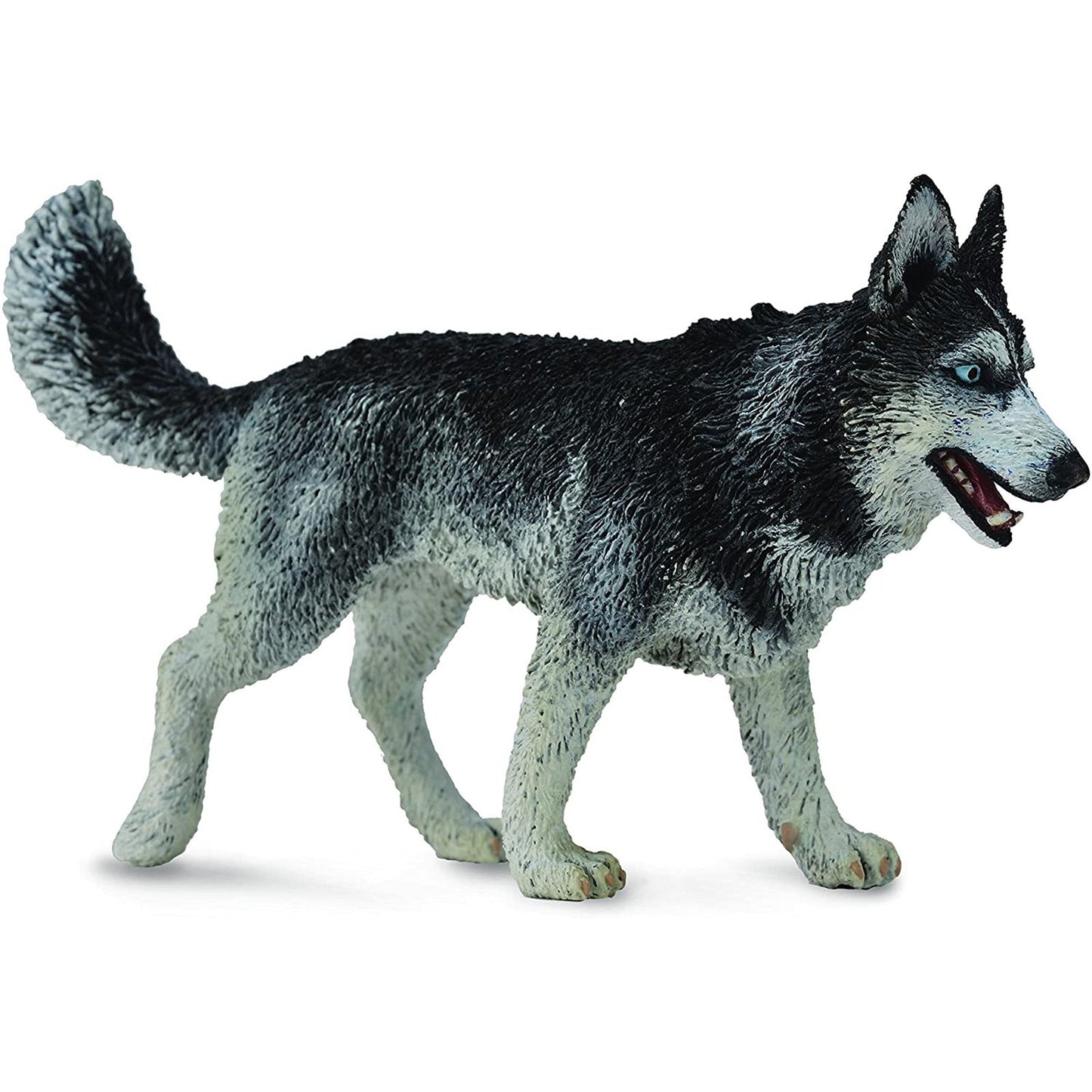 CollectA Siberian Husky Animal Figure 88707