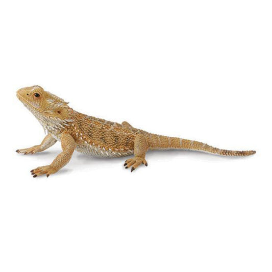 CollectA Bearded Dragon Lizard Animal Figure 88567