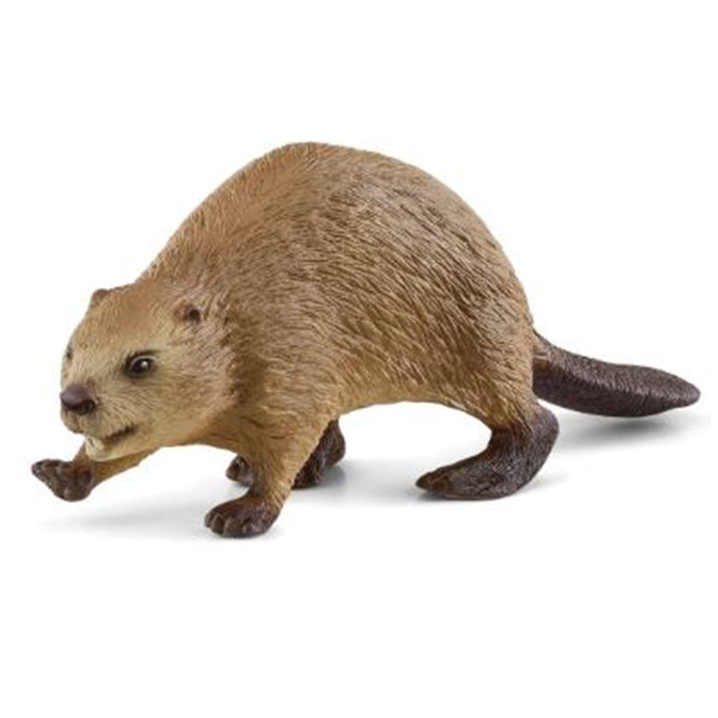 Schleich Beaver Animal Figure 14855