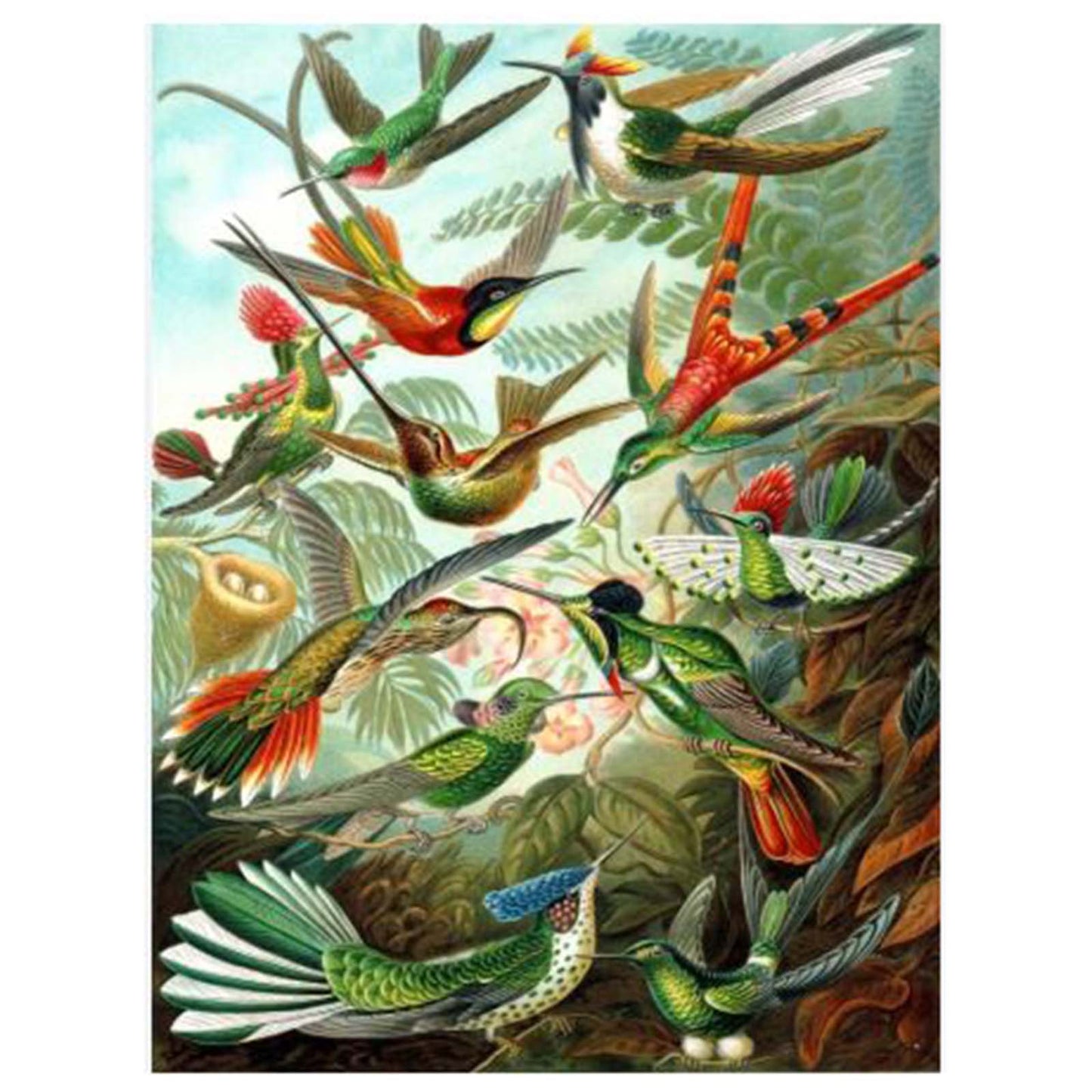 New York Puzzle Hummingbirds 1000 Piece Jigsaw Puzzle