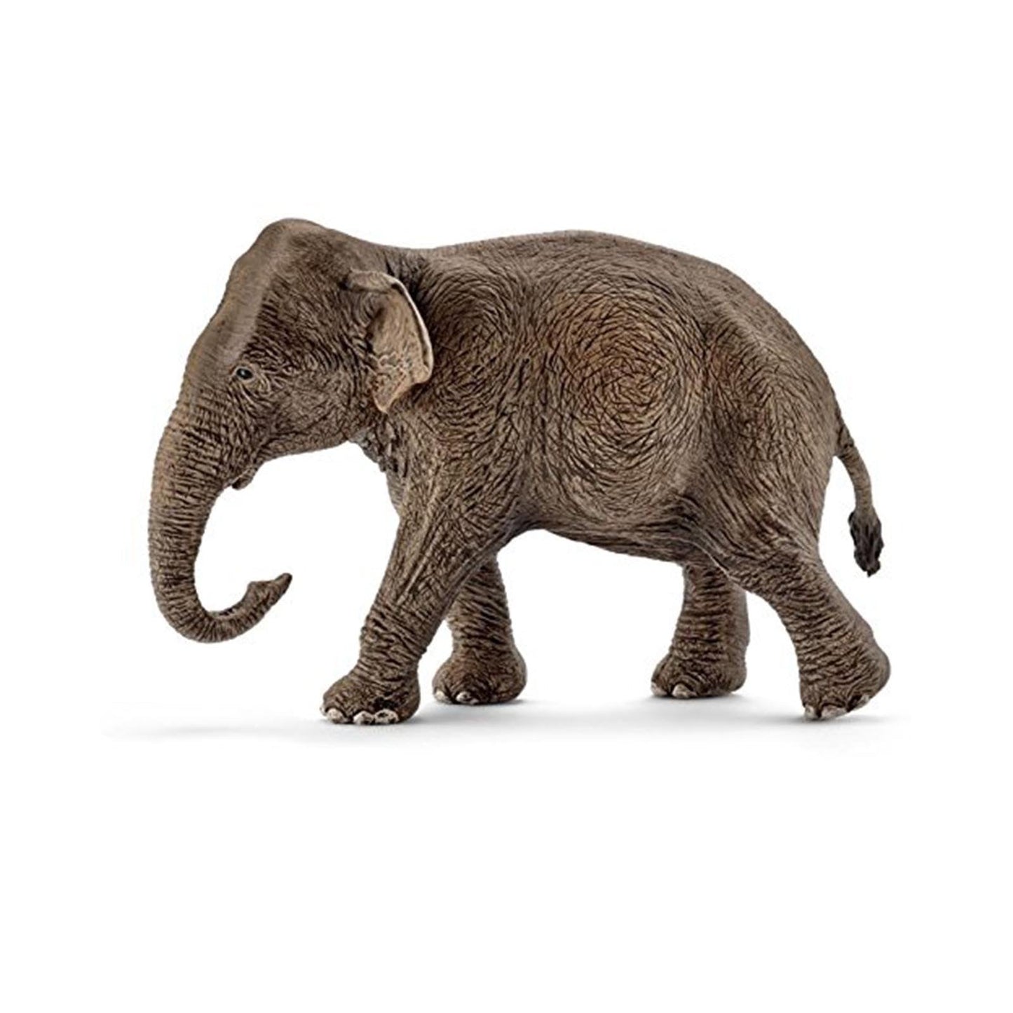 Schleich Asian Elephant Female Animal Figure