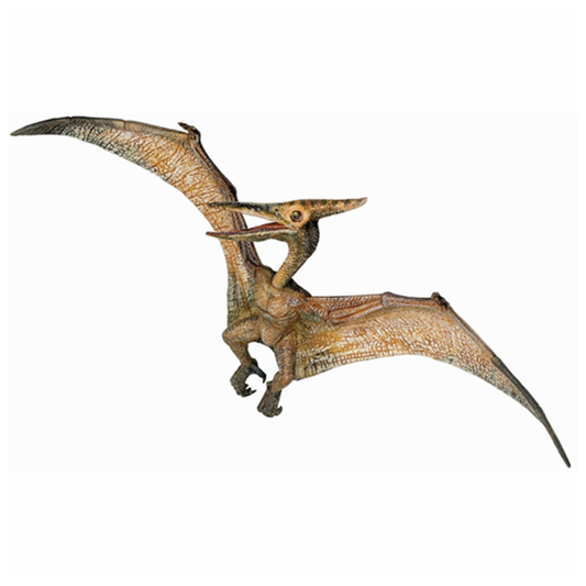 Papo Pteradon Animal Figure 55006